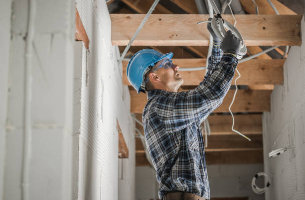 Best Electric Panel Repair  in Farmingville, NY